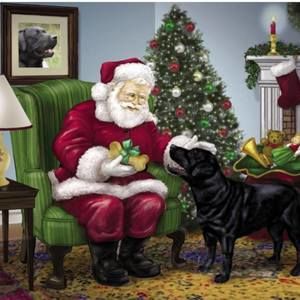 Meet your Posher, Dottie